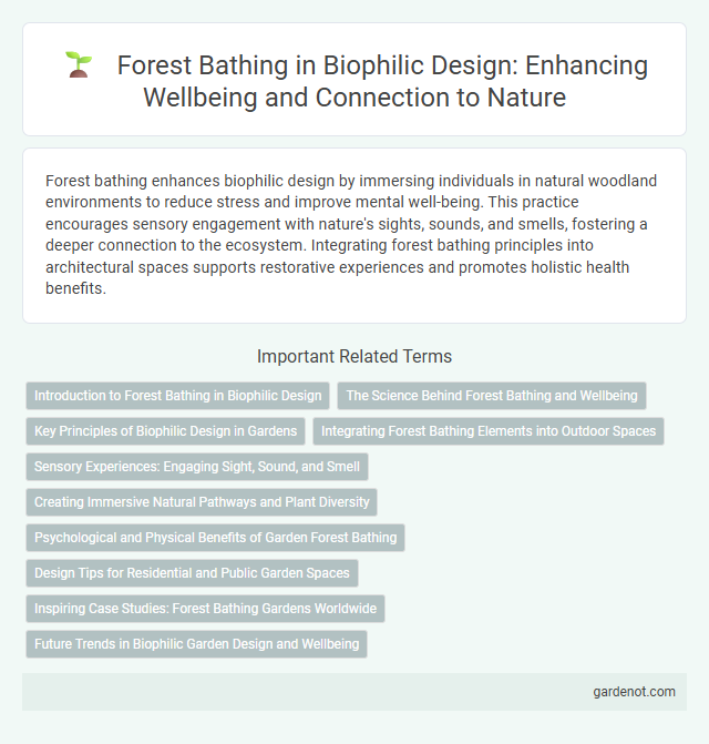 Forest Bathing in Biophilic Design: Enhancing Wellbeing and Connection to Nature
