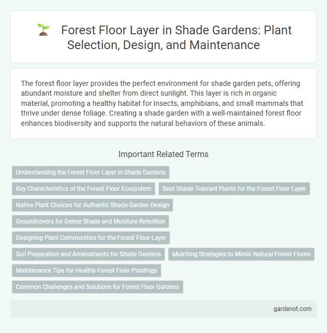 Forest Floor Layer in Shade Gardens: Plant Selection, Design, and Maintenance