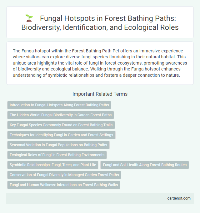 Fungal Hotspots in Forest Bathing Paths: Biodiversity, Identification, and Ecological Roles