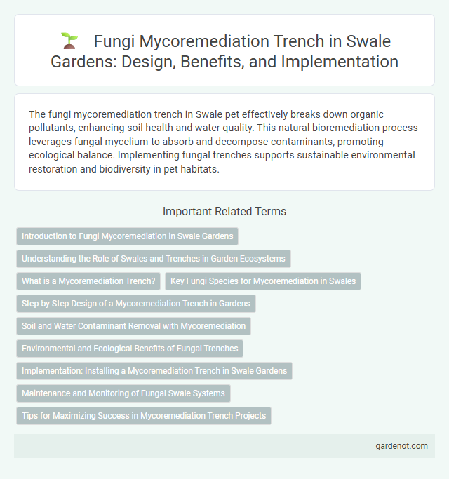Fungi Mycoremediation Trench in Swale Gardens: Design, Benefits, and Implementation