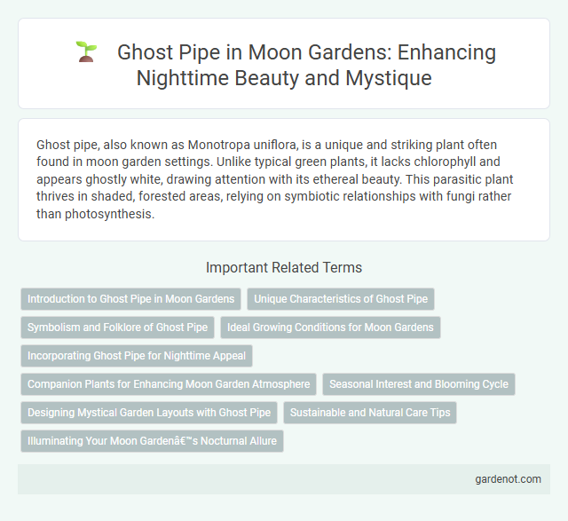 Ghost Pipe in Moon Gardens: Enhancing Nighttime Beauty and Mystique
