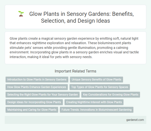 Glow Plants in Sensory Gardens: Benefits, Selection, and Design Ideas