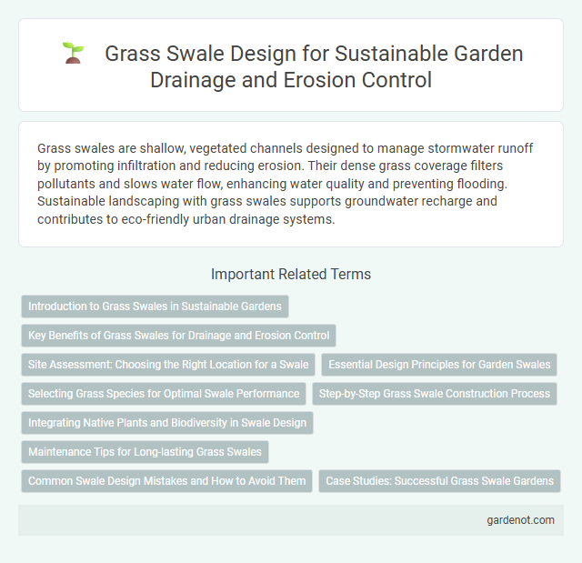 Grass Swale Design for Sustainable Garden Drainage and Erosion Control