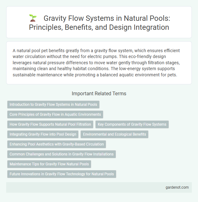 Gravity Flow Systems in Natural Pools: Principles, Benefits, and Design Integration
