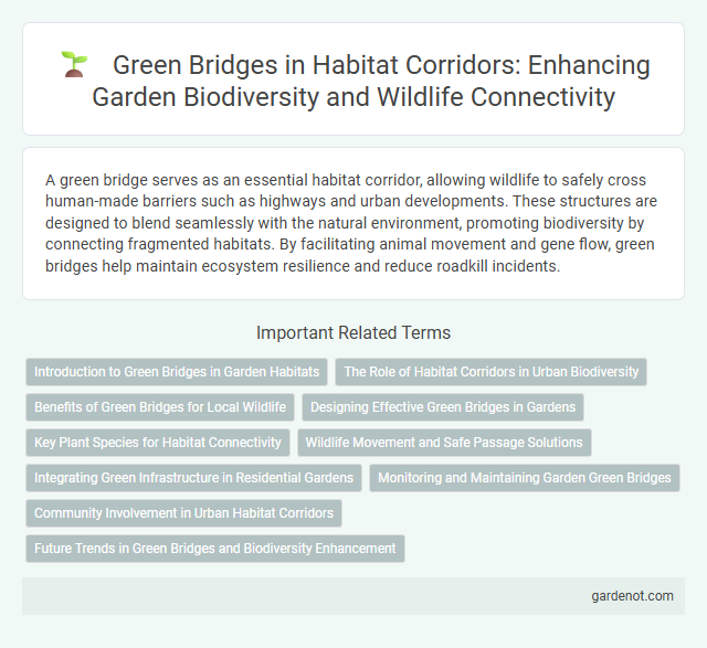 Green Bridges in Habitat Corridors: Enhancing Garden Biodiversity and Wildlife Connectivity