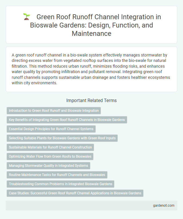 Green Roof Runoff Channel Integration in Bioswale Gardens: Design, Function, and Maintenance