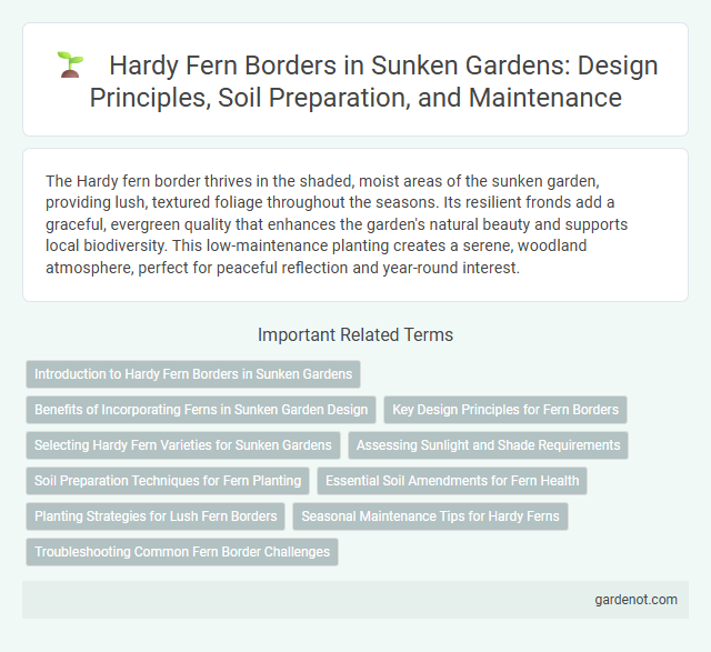 Hardy Fern Borders in Sunken Gardens: Design Principles, Soil Preparation, and Maintenance