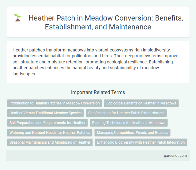 Heather Patch in Meadow Conversion: Benefits, Establishment, and Maintenance