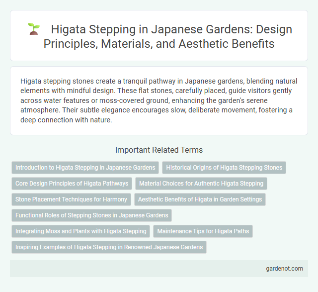 Higata Stepping in Japanese Gardens: Design Principles, Materials, and Aesthetic Benefits