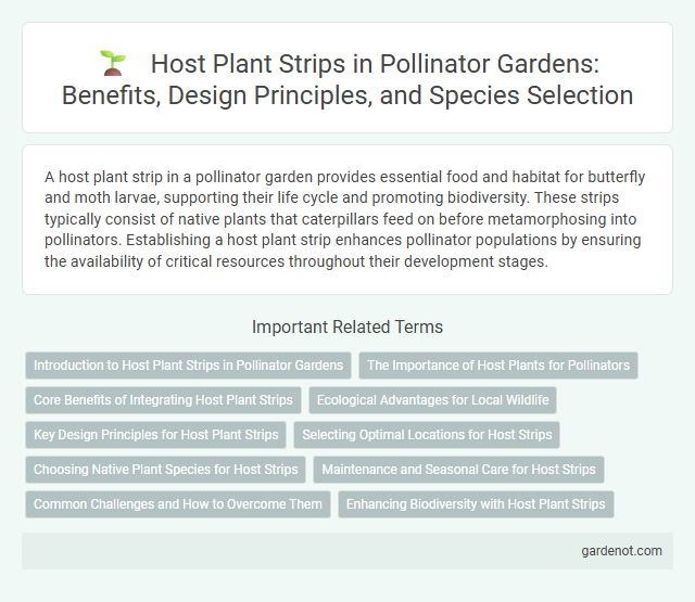 Host Plant Strips in Pollinator Gardens: Benefits, Design Principles, and Species Selection