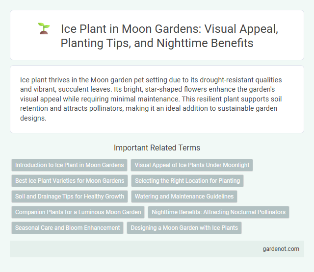 Ice Plant in Moon Gardens: Visual Appeal, Planting Tips, and Nighttime Benefits