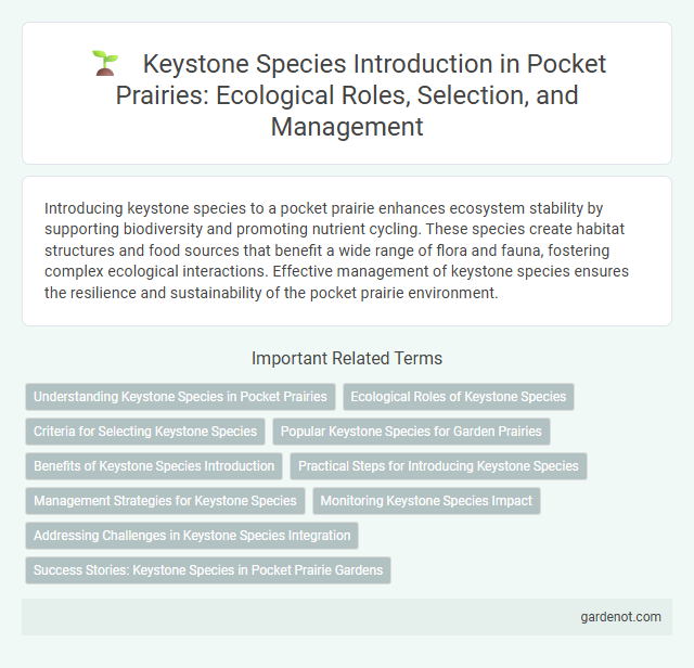 Keystone Species Introduction in Pocket Prairies: Ecological Roles, Selection, and Management