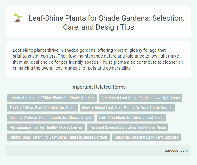 Leaf-Shine Plants for Shade Gardens: Selection, Care, and Design Tips