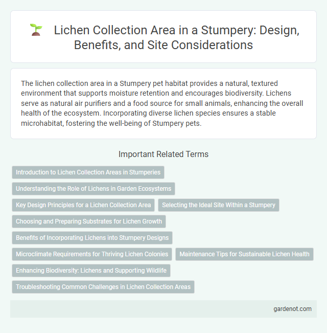 Lichen Collection Area in a Stumpery: Design, Benefits, and Site Considerations