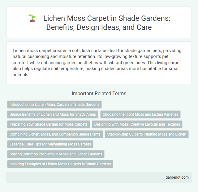 Lichen Moss Carpet in Shade Gardens: Benefits, Design Ideas, and Care