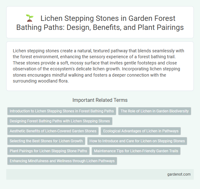 Lichen Stepping Stones in Garden Forest Bathing Paths: Design, Benefits, and Plant Pairings