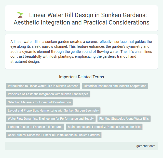 Linear Water Rill Design in Sunken Gardens: Aesthetic Integration and Practical Considerations