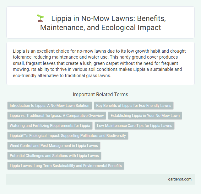 Lippia in No-Mow Lawns: Benefits, Maintenance, and Ecological Impact