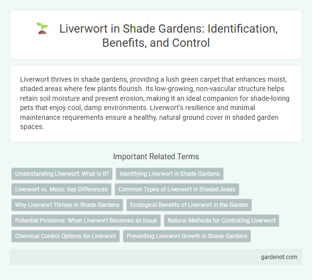 Liverwort in Shade Gardens: Identification, Benefits, and Control