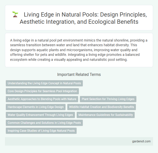 Living Edge in Natural Pools: Design Principles, Aesthetic Integration, and Ecological Benefits