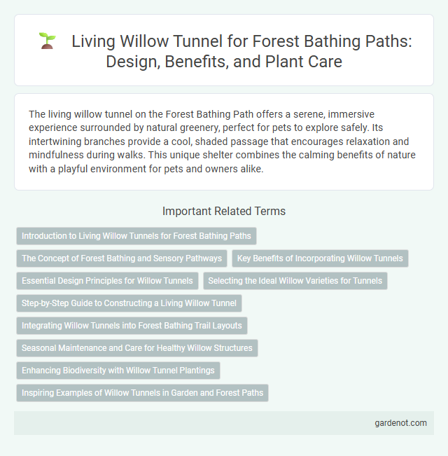 Living Willow Tunnel for Forest Bathing Paths: Design, Benefits, and Plant Care