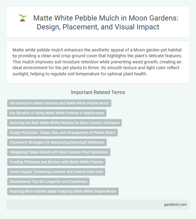 Matte White Pebble Mulch in Moon Gardens: Design, Placement, and Visual Impact