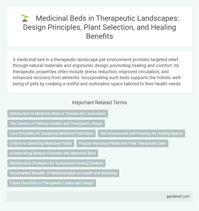 Medicinal Beds in Therapeutic Landscapes: Design Principles, Plant Selection, and Healing Benefits