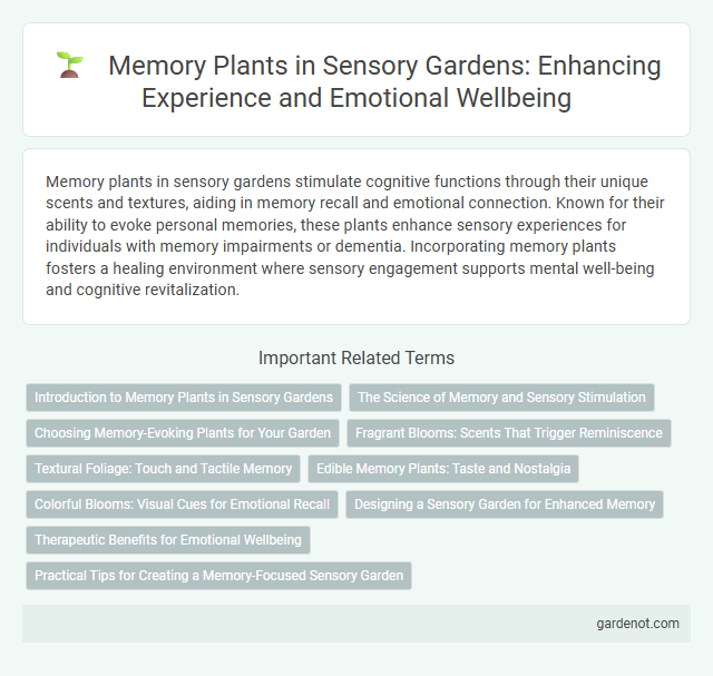 Memory Plants in Sensory Gardens: Enhancing Experience and Emotional Wellbeing