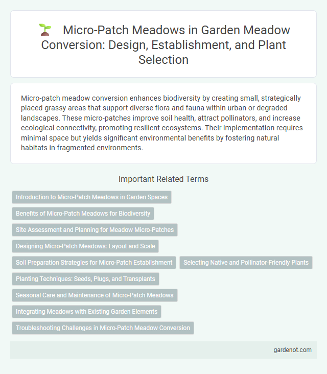 Micro-Patch Meadows in Garden Meadow Conversion: Design, Establishment, and Plant Selection