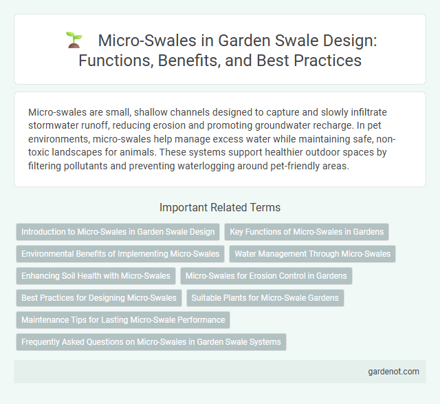 Micro-Swales in Garden Swale Design: Functions, Benefits, and Best Practices