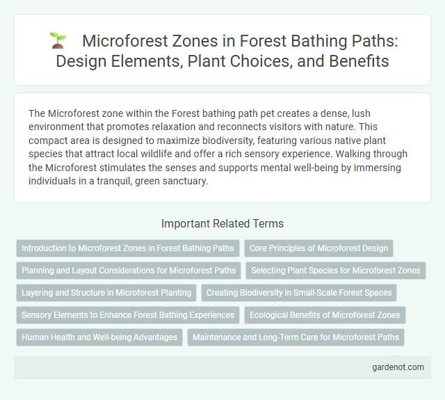Microforest Zones in Forest Bathing Paths: Design Elements, Plant Choices, and Benefits