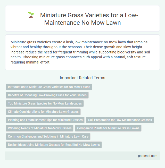 Miniature Grass Varieties for a Low-Maintenance No-Mow Lawn
