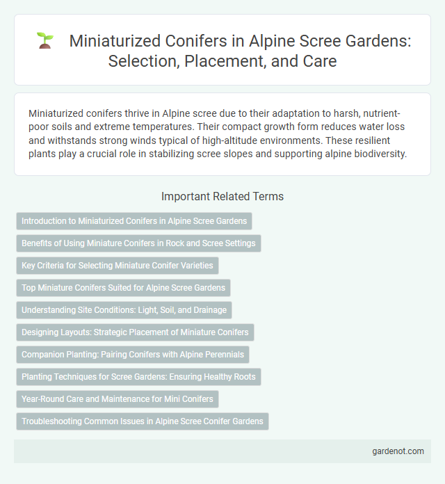 Miniaturized Conifers in Alpine Scree Gardens: Selection, Placement, and Care
