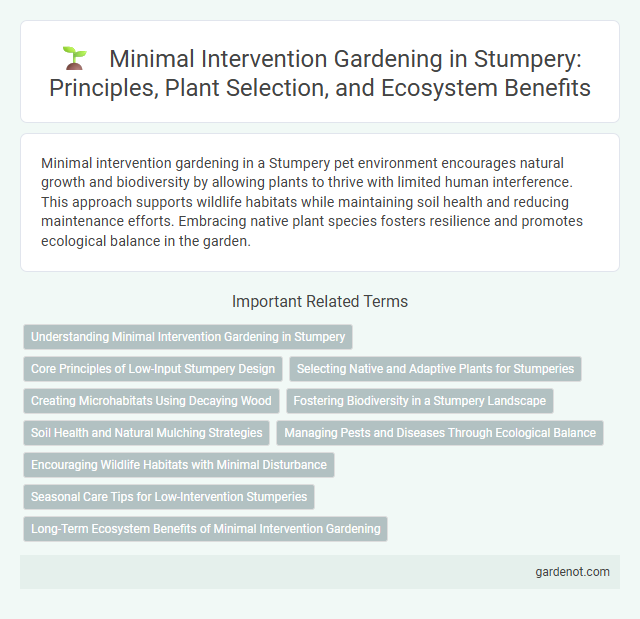 Minimal Intervention Gardening in Stumpery: Principles, Plant Selection, and Ecosystem Benefits