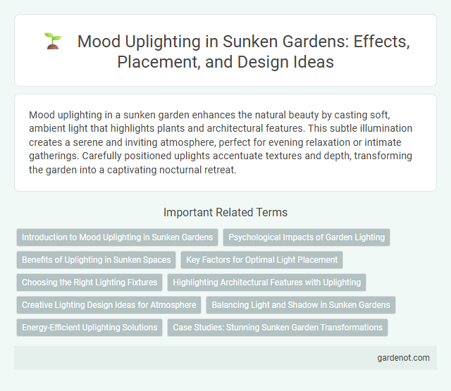 Mood Uplighting in Sunken Gardens: Effects, Placement, and Design Ideas