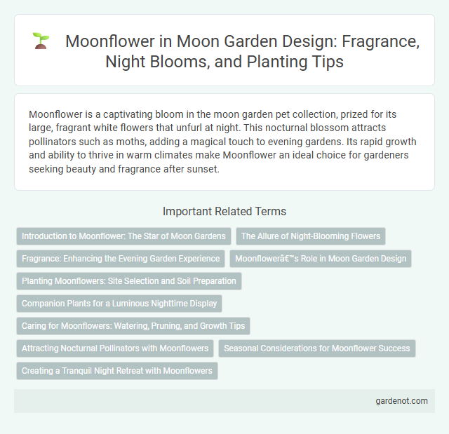 Moonflower in Moon Garden Design: Fragrance, Night Blooms, and Planting Tips
