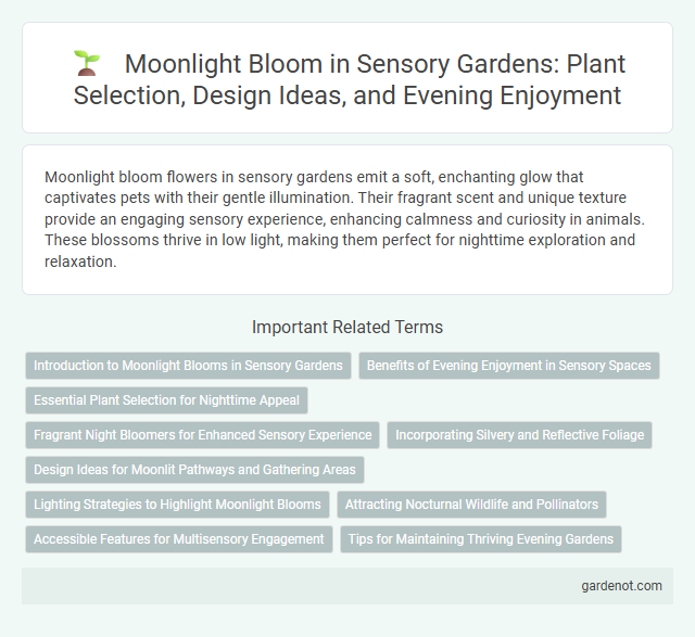 Moonlight Bloom in Sensory Gardens: Plant Selection, Design Ideas, and Evening Enjoyment