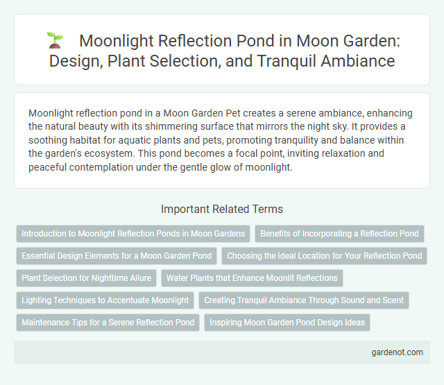 Moonlight Reflection Pond in Moon Garden: Design, Plant Selection, and Tranquil Ambiance