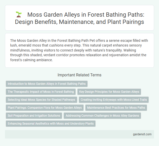Moss Garden Alleys in Forest Bathing Paths: Design Benefits, Maintenance, and Plant Pairings