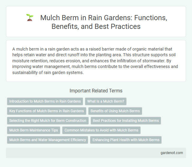 Mulch Berm in Rain Gardens: Functions, Benefits, and Best Practices