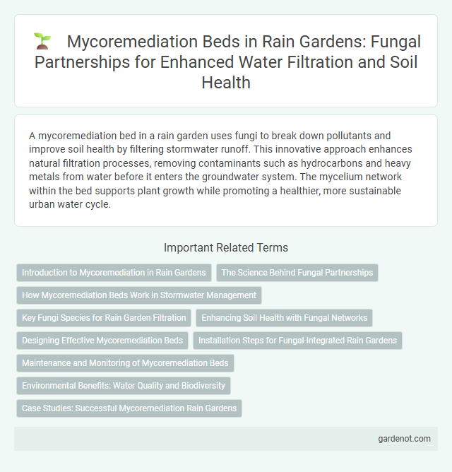 Mycoremediation Beds in Rain Gardens: Fungal Partnerships for Enhanced Water Filtration and Soil Health