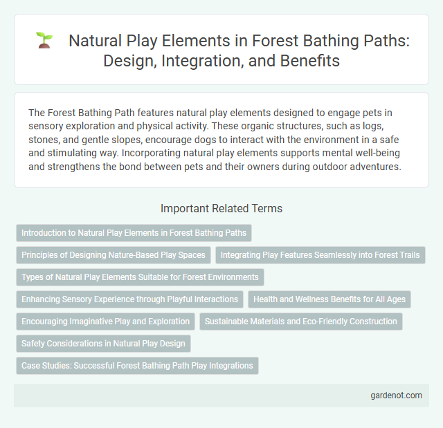 Natural Play Elements in Forest Bathing Paths: Design, Integration, and Benefits