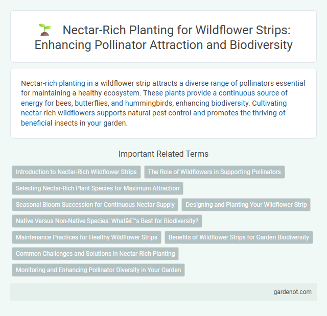 Nectar-Rich Planting for Wildflower Strips: Enhancing Pollinator Attraction and Biodiversity