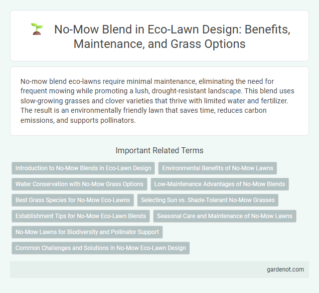 No-Mow Blend in Eco-Lawn Design: Benefits, Maintenance, and Grass Options