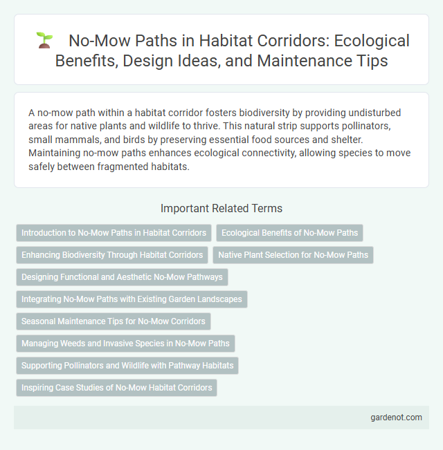 No-Mow Paths in Habitat Corridors: Ecological Benefits, Design Ideas, and Maintenance Tips