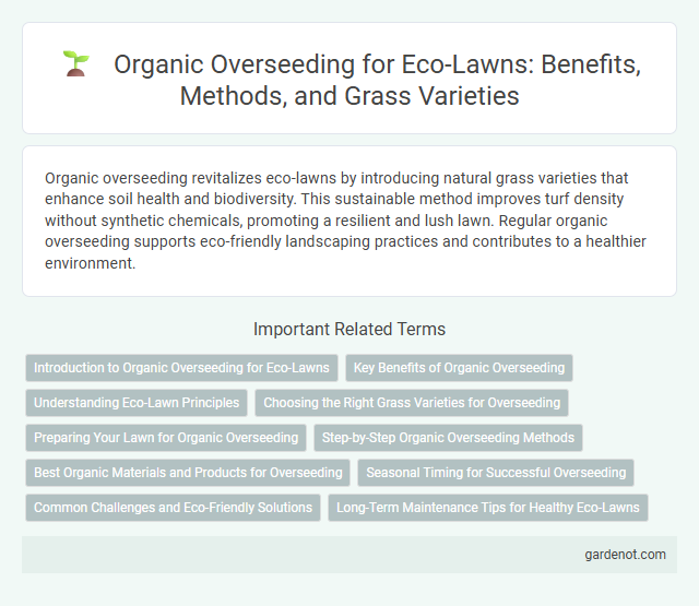 Organic Overseeding for Eco-Lawns: Benefits, Methods, and Grass Varieties