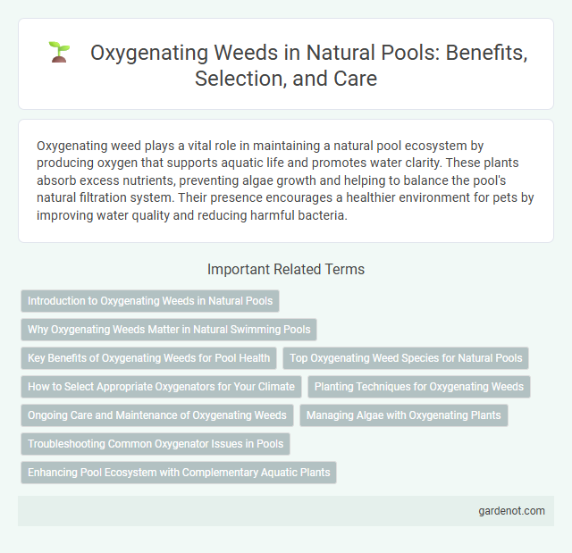 Oxygenating Weeds in Natural Pools: Benefits, Selection, and Care