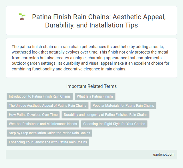 Patina Finish Rain Chains: Aesthetic Appeal, Durability, and Installation Tips