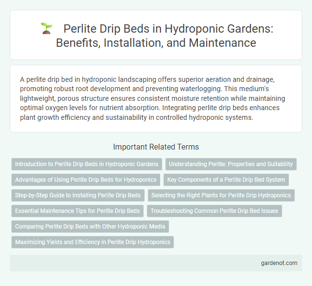 Perlite Drip Beds in Hydroponic Gardens: Benefits, Installation, and Maintenance