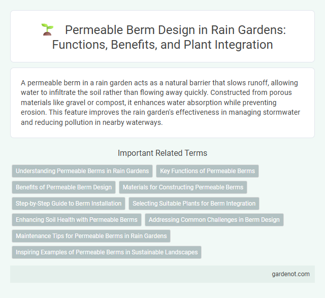 Permeable Berm Design in Rain Gardens: Functions, Benefits, and Plant Integration